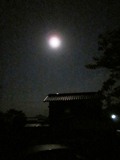 2012.5.7.JPG