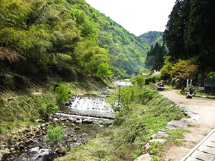 mikawa.JPG