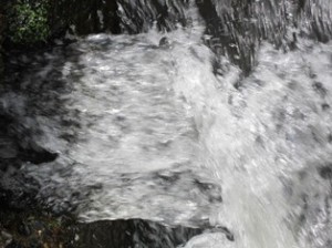 water