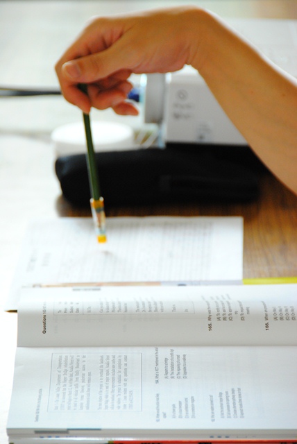 DSC_0049 - Study!