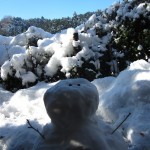 IMG_3243 IMG_3243