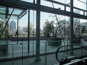 IMG_4491