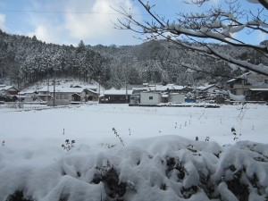 IMG_4557
