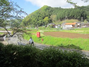 IMG_6726