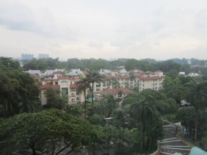 IMG_7128