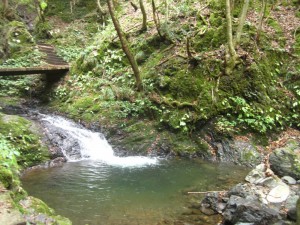 IMG_7485
