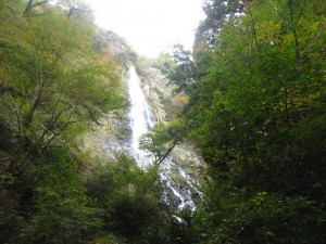 IMG_7491