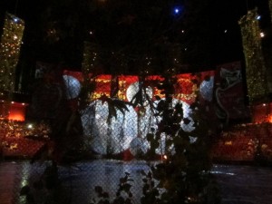 IMG_7892