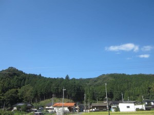 IMG_8573