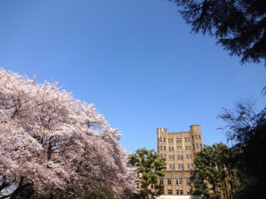 e055acdf7057df0b6de6b81e5965e67b_s